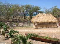 Buena Onda Beach Resort