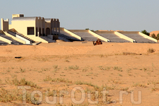 С 1976 года в Дузе проводится фестиваль Сахары, который проходит в ноябре-декабре. Это как раз то место, где проходят гонки на верблюдах.