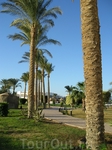 Отель Grand Seas Resort Hostmark 5*