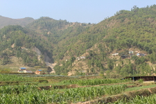 Дорога в Читван- с одной стороны горы,  с другой вдоль всей дороги протекает река Трисули