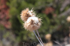 Снова ... Снова ...