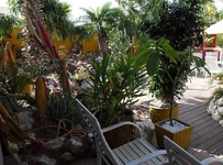 Sea Breeze Apartments