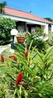 Фото Le Panoramic Trois Ilets