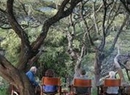 Фото Lemala Ngorongoro Camp