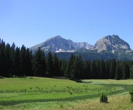 Boskovica Brvnare