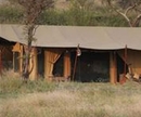 Фото Lemala Ewanjan