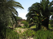 Ботанический сад в Карфагене