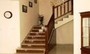 Фото Patatas Villa