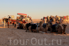 Отсюда стартуют африканские сафари, караваны верблюдов тянутся в глубь пустыни, чтобы встретить красивейший закат.