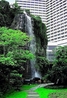 Фото Garden