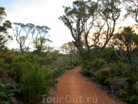 Bibbulmun Track (a long distance walk trail in Western Australia, 1,003.1 kilometres long)