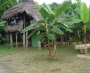 Punta Patio Lodge