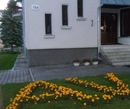 Фото Kungis Samogis