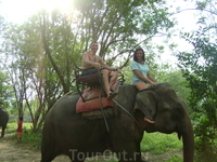 22 декабря 2010. Квай. Elephant Rides.