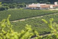 Фото отеля Cafayate Wine Resort