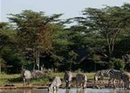 Фото Sweetwaters Tented Camp Nanyuki