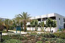 Ghazala Beach