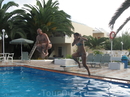 Критские игры. Соревнования по прыжкам в воду