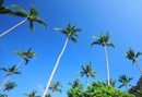 Фото Ao Nang Dahla Bungalow