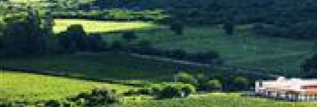 Cafayate Wine Resort Cafayate Wine Resort