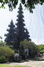 На Бали несметное количество храмов...