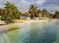 Blackbird Caye Resort