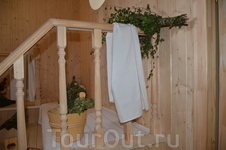 Царское Село и белки