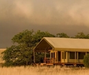 Фото Desert Rhino Camp