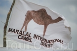 Международный фестиваль Camel Derby