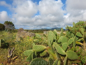 Типичный пейзаж о.Санта-Мария (100 м от аэропорта)