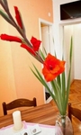 Apartments Herceg Novi