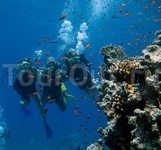 Красное море, погружение