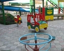Фото Лиана