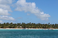 Национальный заповедник остров Саона. Здесь нет отелей только пальмы и пляж с белым песком
