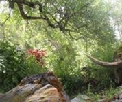 Country Guest House Las Chullpas