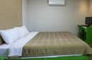 Фото Maple Hotel