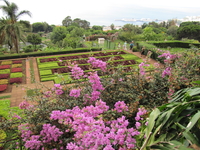Ботанический сад Мадейры
