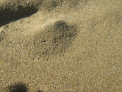 Загадочная картинка: когда набежавшая волна скатывается обратно в море, на песке остаются дырочки.