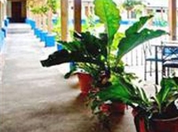 Фото отеля Hacienda Del Mar Guanacaste