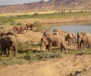 Фото Twyfelfontein Country Lodge