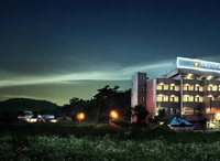 Фото отеля Gapyeong Seorak Tourist Hotel