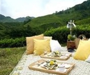 Фото Cameron Highlands Resort