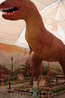 На выставке диназавров