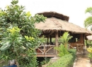 Фото Amazon Bungalow