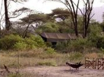Lemala Manyara Camp Arusha