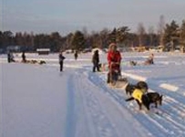 Finnskogen Turist & Villmarksenter