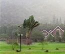 Фото Chinatrust Crystal Resort Nantou City