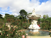 Розарий имеет форму эллипса, которая формируется стриженной живой изгородью.
Этот фонтан называется "Фавн" , он расположен в южной части розария.