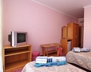 Фото Гиацинт