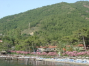 Вид на пляж отеля с пирса